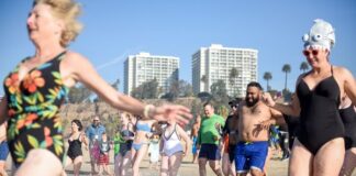 Polar Bear Swim Kicks Off New Year