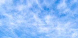 Frieze Sculpture Beverly Hills At Beverly Gardens Park Cancelled