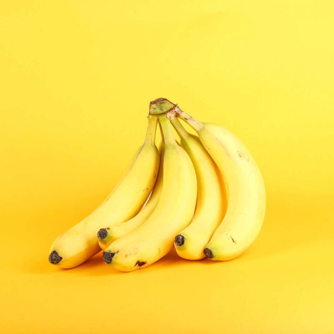 giorgio-trovato-fczCr7MdE7U-unsplash (1)