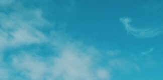 Santa Monica Named LEED Platinum City