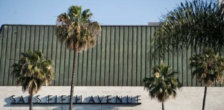 Video Installation By Renowned Artist Set To Open