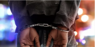 Melrose Robbery Suspect Arrested