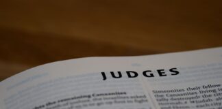 Judges Need To Be Held Accountable