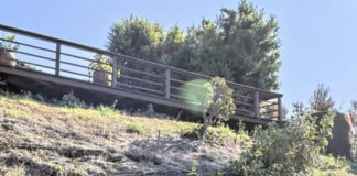 Burglar Barricades Himself In Hollywood Hills Residence