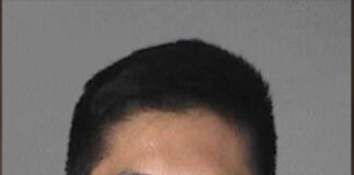 Michael Roe-Chien Hsu Pleads Guilty to Rape Charges