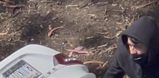 Video Captures Robbery At Panhandle Park