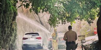 One Arrested For Allegedly Setting Vehicles On Fire