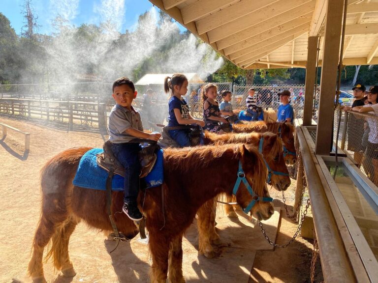 Animal Rights Activists Attempt To End Pony Rides