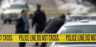 Two Suspects Arrested In Armed Residential Robbery