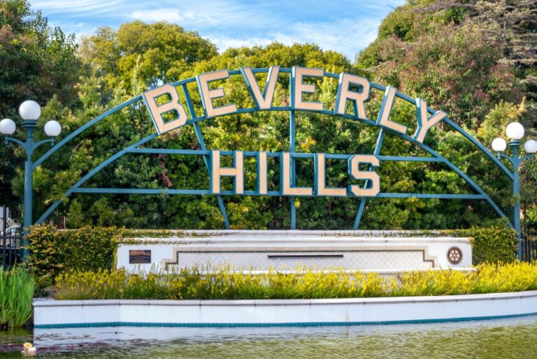 Learn About The Workings Of The Government As Part Of Team Beverly Hills