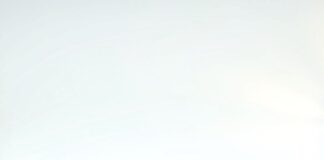 Banana Yellow (15.5)