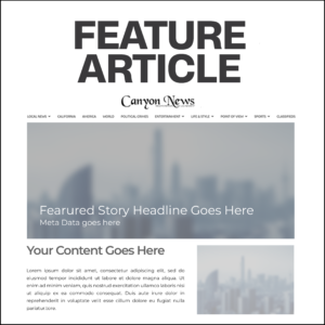 Feature Article