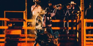 Redding Rodeo Bull Escape Injures 5