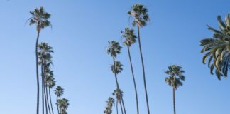 Santa Monica Extends Local Emergency To December 31, 2022