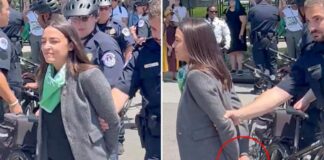 Members Of Congress Arrested