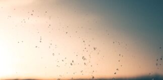 Residents Asked To Reduce Water Consumption