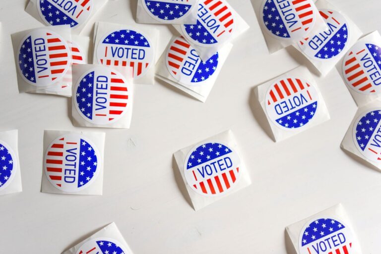 People Vote Based On Gut Reaction