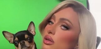 Paris Hilton Offers Reward For Missing Dog, Diamond