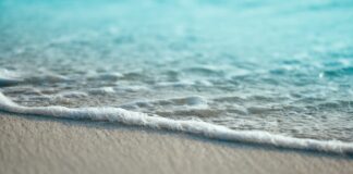 Multiple Beaches Test For High Bacteria