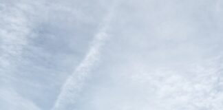 Jerry Reinsdorf Sued By Former Caregiver