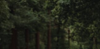 Motorcyclist Suffers Head Trauma From Crash