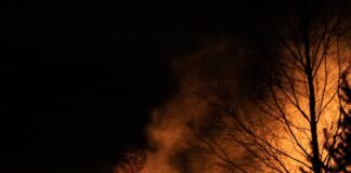 Brush Fire Erupts In Malibu