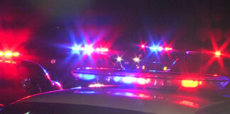 West Hollywood Business Owner Dies In Car Crash