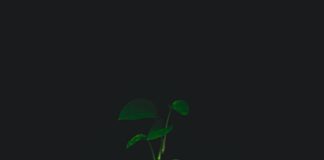 WeHo Green Week