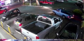 LAPD Seek Public’s Help Investigating Fatal Hit-And-Run