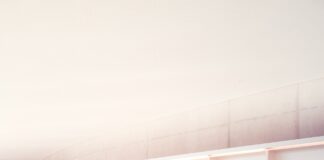 Higher Education Woes: Graduate School