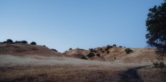 Anthony Rauda Found Guilty In Malibu Creek Murder