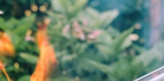 Summer Grilling Season Begins!