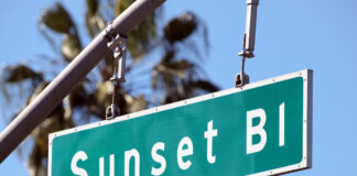 Search For Attempted Robbery Suspect