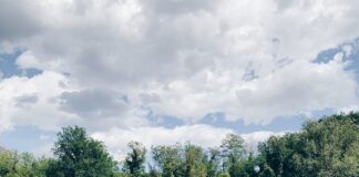 The Entitlement Factor With Younger Generations Entitlement factor