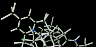 Nature Vs. Nurture Is A Heated Debate People