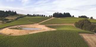 Former WH Chef Drowns At Obama Estate