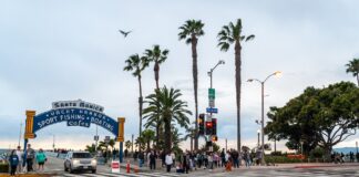 City Council Unanimously Approves Private Security Downtown