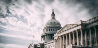 Choosing A Leader And Mentor