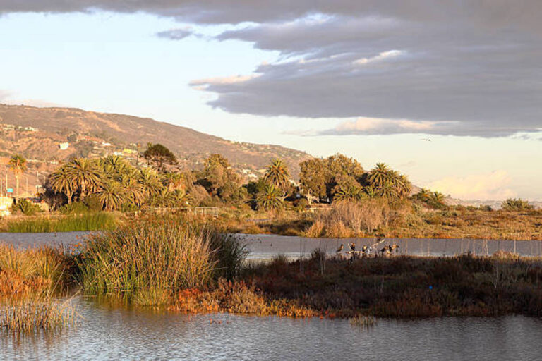 Body In A Barrel Discovered At Malibu Lagoon