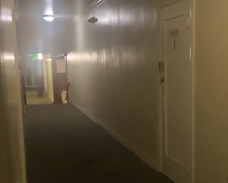 Female Suspect With A Gun, Barricaded In Apartment