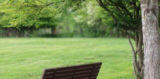 Philip And Vivian Return To “Days Of Our Lives!”