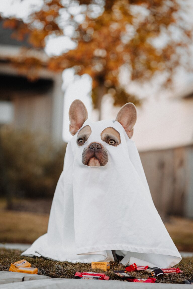 Howl O Ween