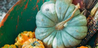 Pumpkin Festival Being Held October 22 Pumpkin Festival