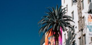 11 People Arrested In LAPD Black Friday Sting