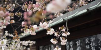 Four Asian Cities You Really Should Visit In 2024