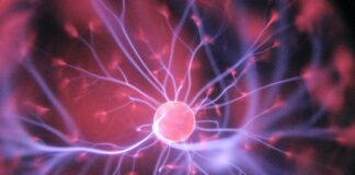 Ned Regains His Memory On “General Hospital”!