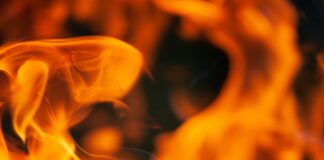 Small Brush Fire Extinguished By Firefighters