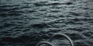 Polar Bear Plunge Unfolding On January 6