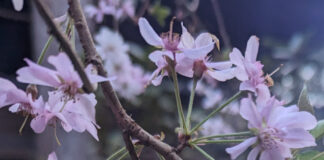 Force To Be Reckoned With force