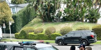 Grand Theft Suspect Arrested By BHPD